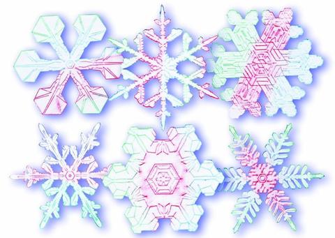 Picture of Rubbing Plates: Snowflake